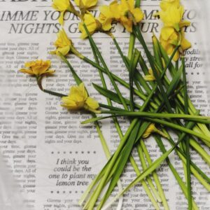 HABITS-OF-CREATURES-crj-daynight-0206